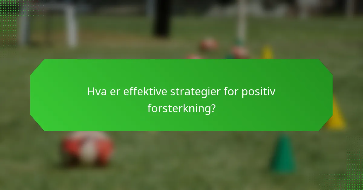 Hva er effektive strategier for positiv forsterkning?