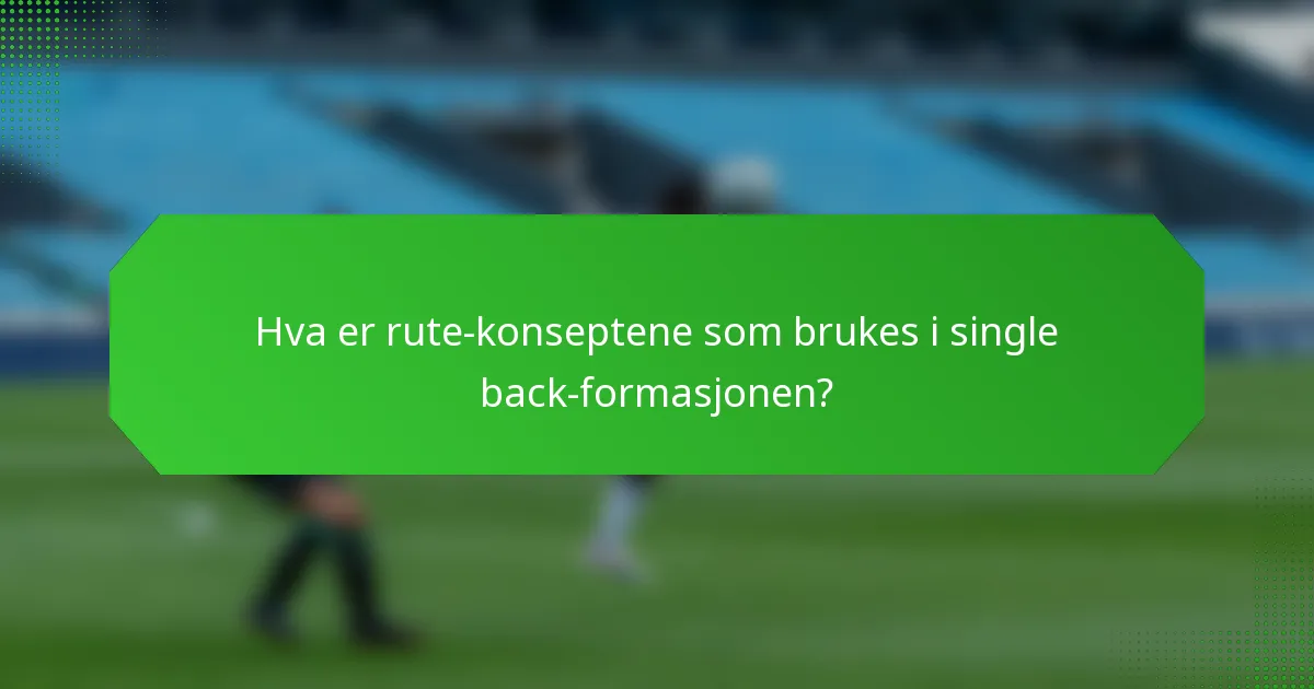 Hva er rute-konseptene som brukes i single back-formasjonen?