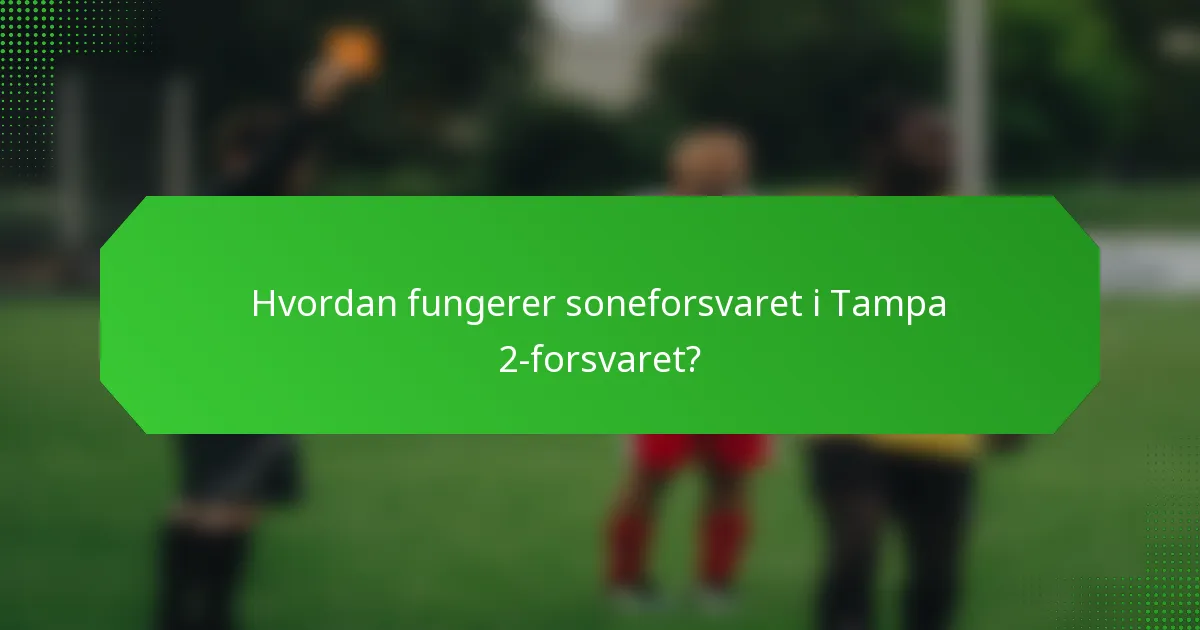 Hvordan fungerer soneforsvaret i Tampa 2-forsvaret?